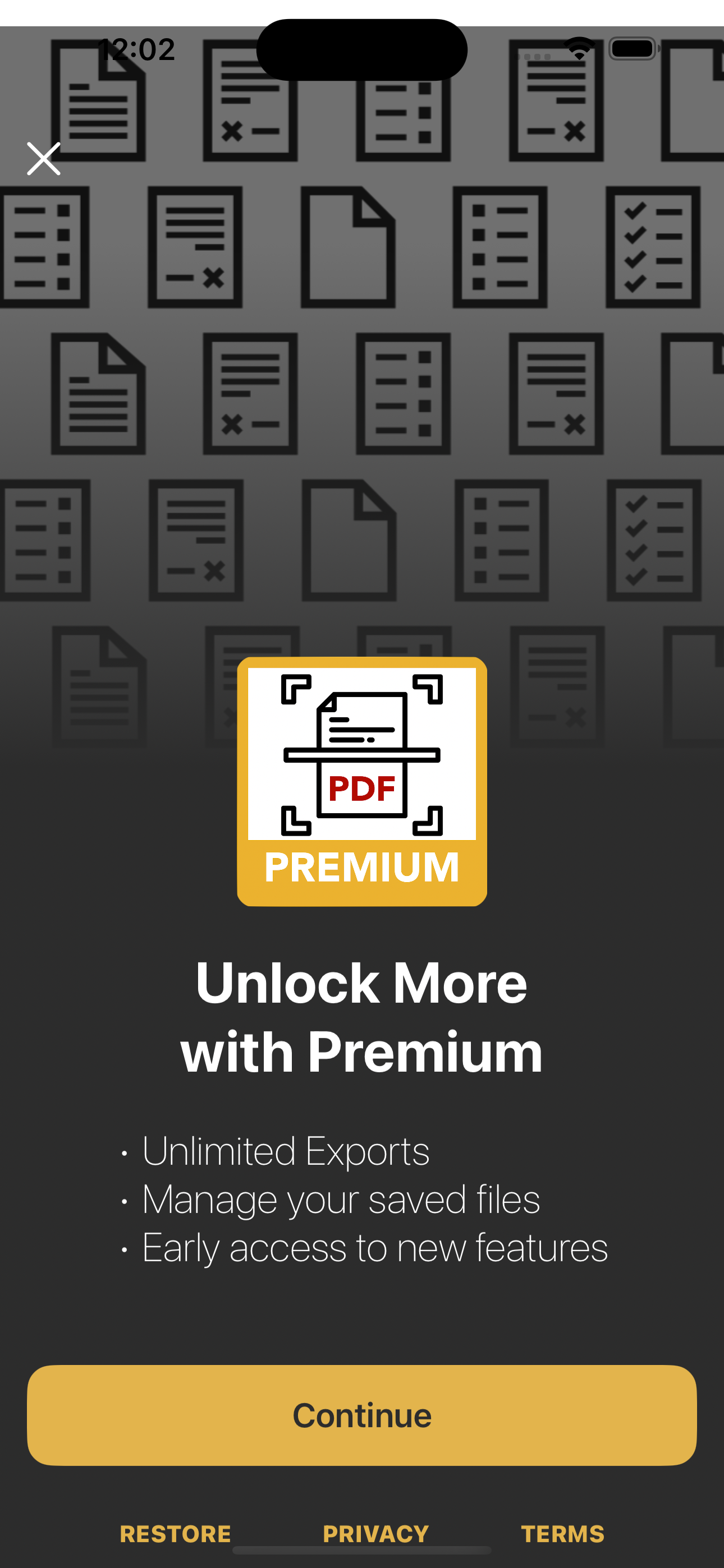 Rapid PDF premium options screen
